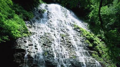 节能高性能独特